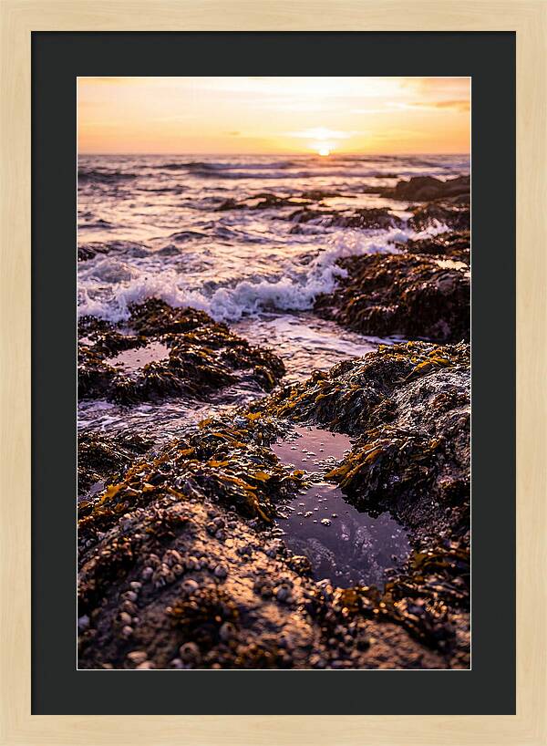 Rocky Shore Serenity