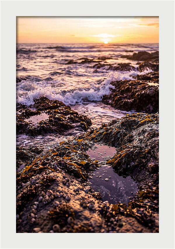 Rocky Shore Serenity