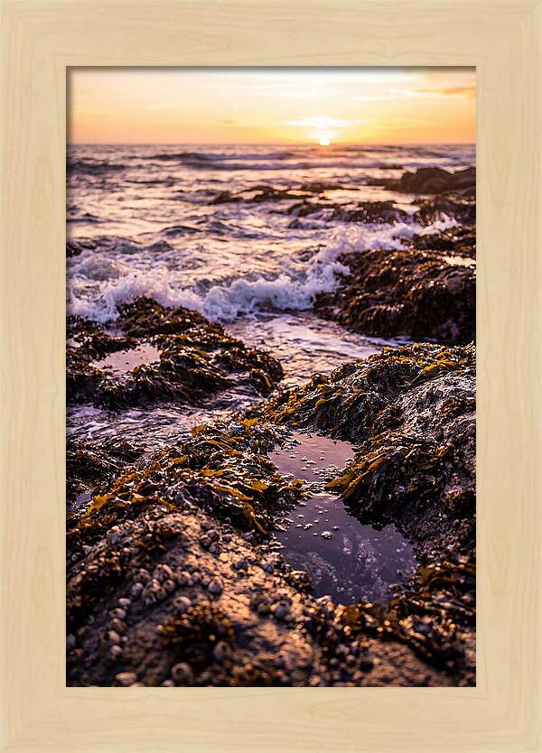 Rocky Shore Serenity