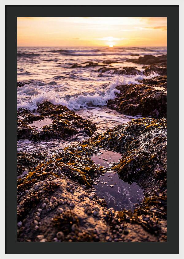 Rocky Shore Serenity