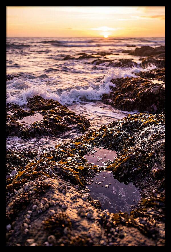 Rocky Shore Serenity