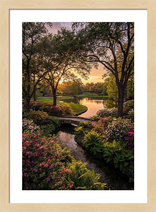 Roger Williams Park Serenity