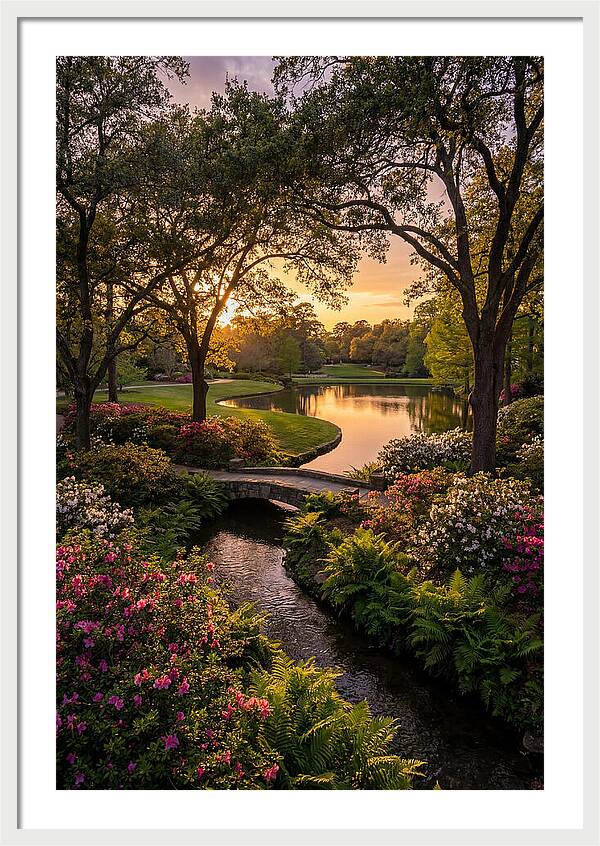 Roger Williams Park Serenity