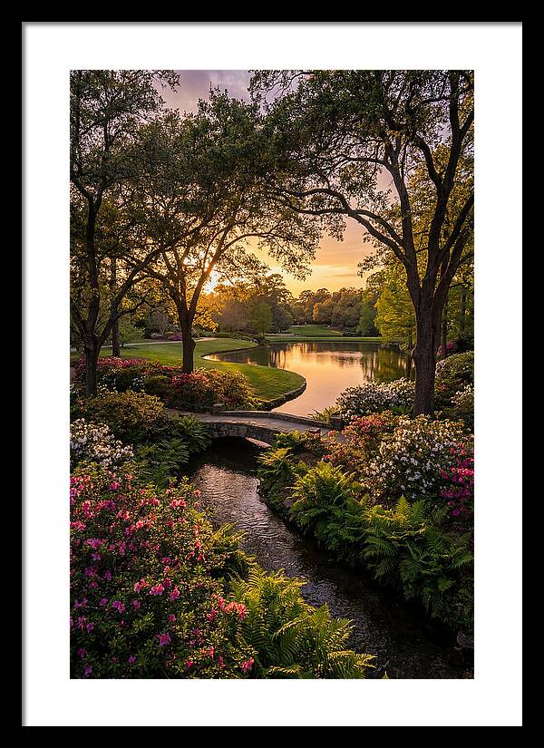 Roger Williams Park Serenity