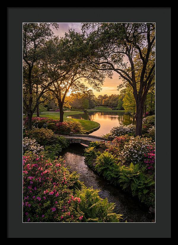 Roger Williams Park Serenity