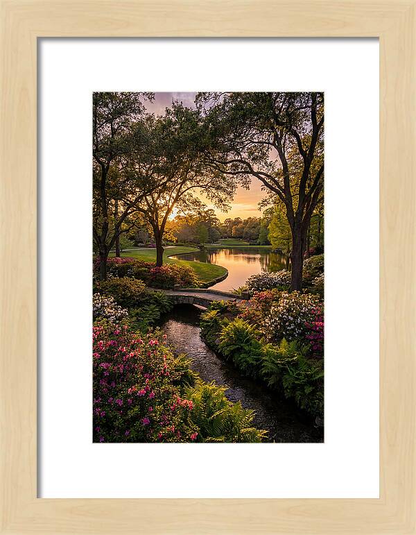 Roger Williams Park Serenity