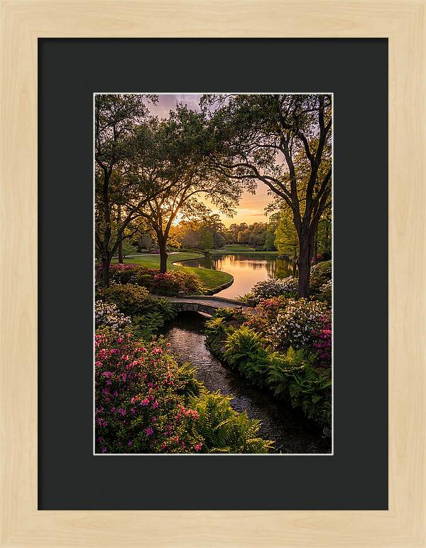 Roger Williams Park Serenity
