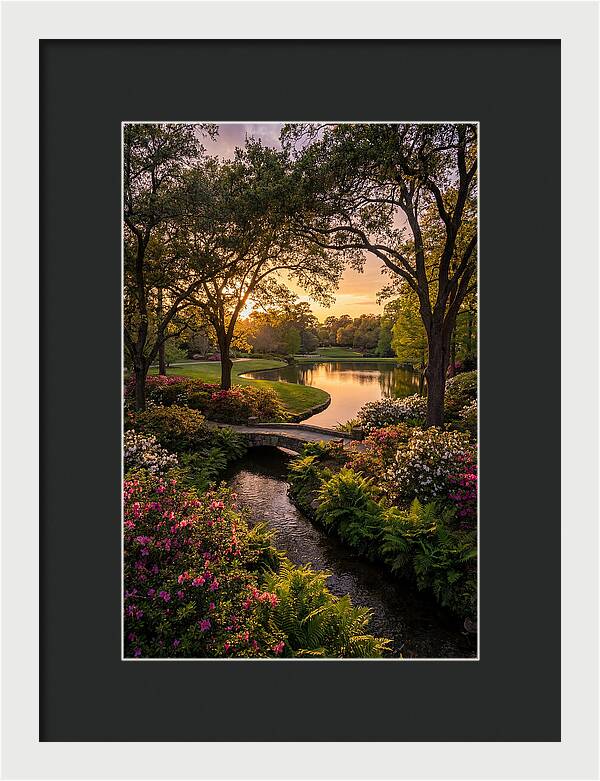 Roger Williams Park Serenity