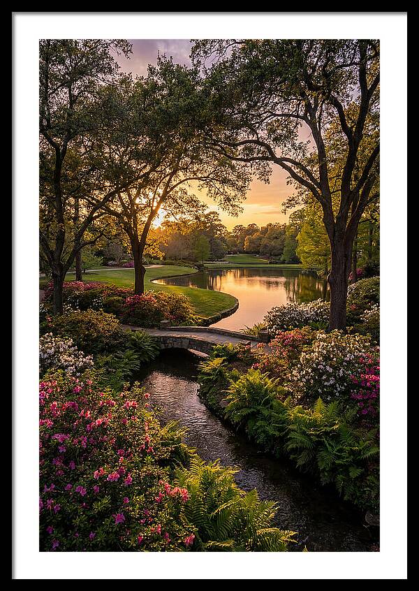 Roger Williams Park Serenity