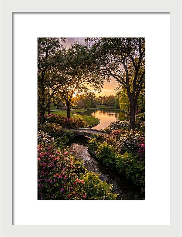 Roger Williams Park Serenity