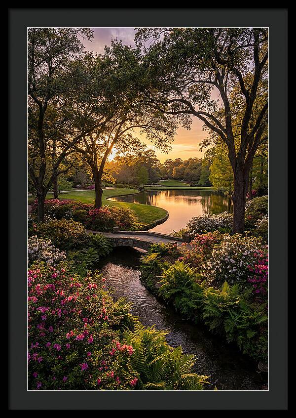 Roger Williams Park Serenity