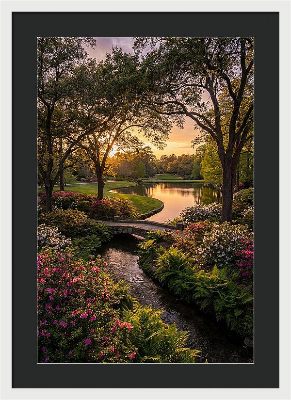 Roger Williams Park Serenity
