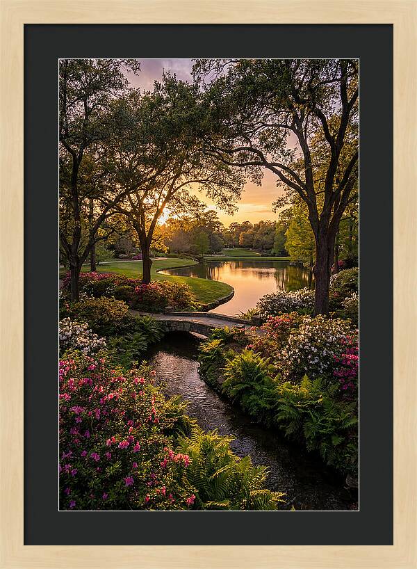 Roger Williams Park Serenity