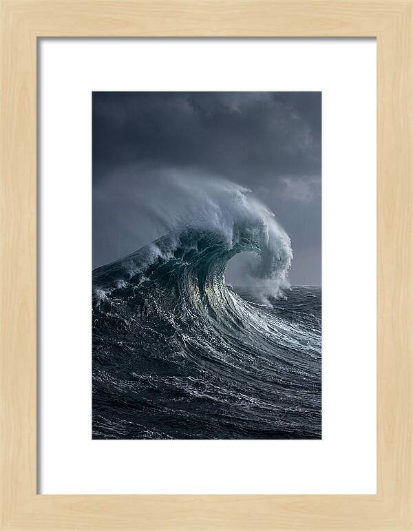 Rogue Wave Majesty