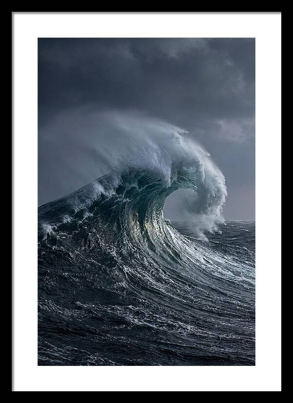 Rogue Wave Majesty