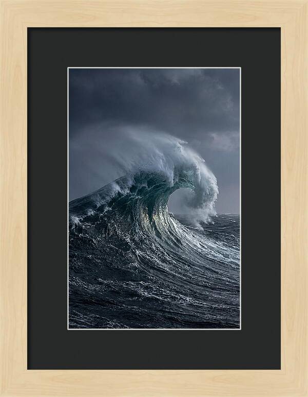 Rogue Wave Majesty