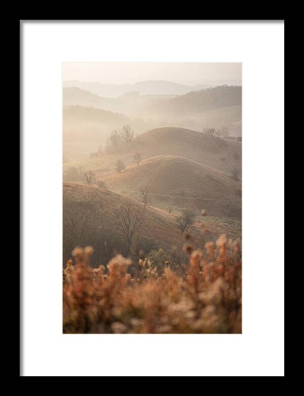 Rolling Drumlin Hills At Dawn