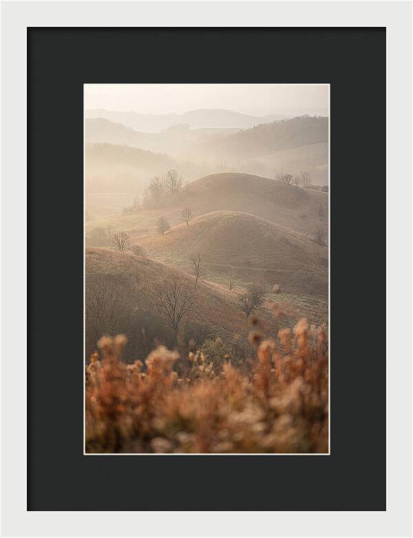 Rolling Drumlin Hills At Dawn