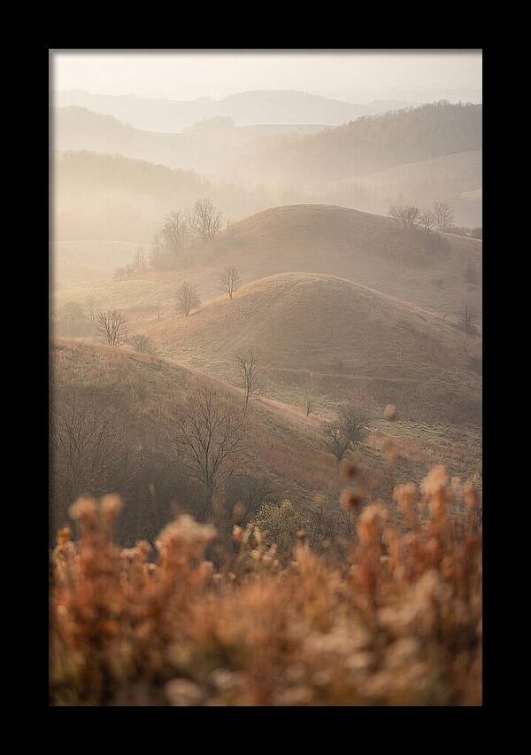 Rolling Drumlin Hills At Dawn