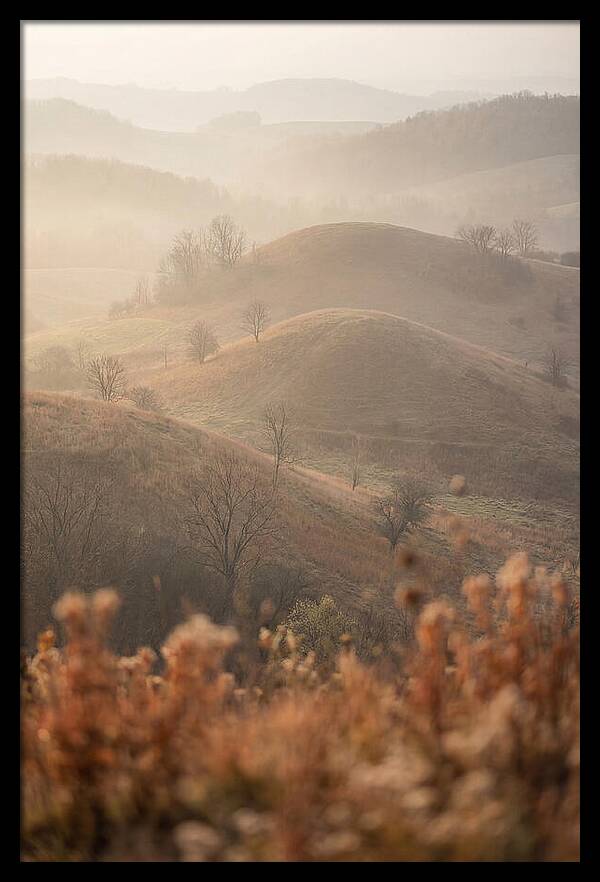Rolling Drumlin Hills At Dawn