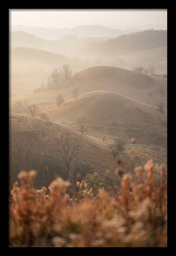 Rolling Drumlin Hills At Dawn