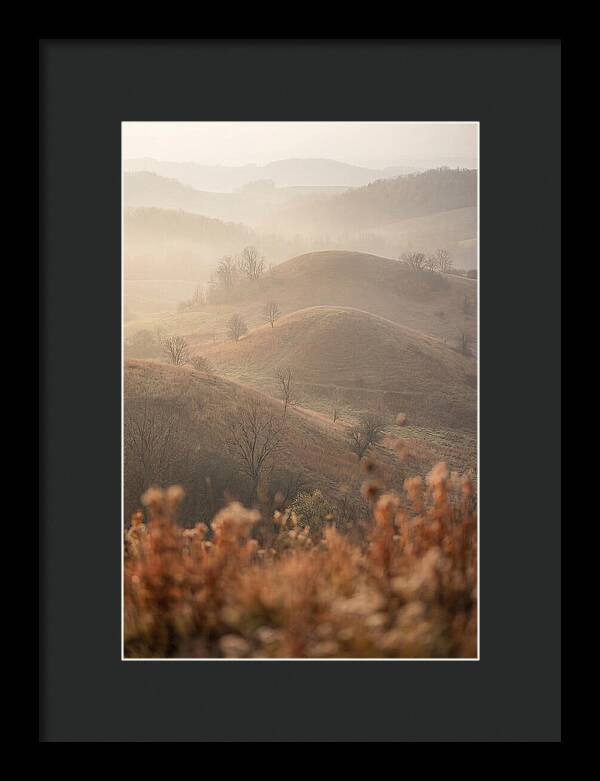 Rolling Drumlin Hills At Dawn
