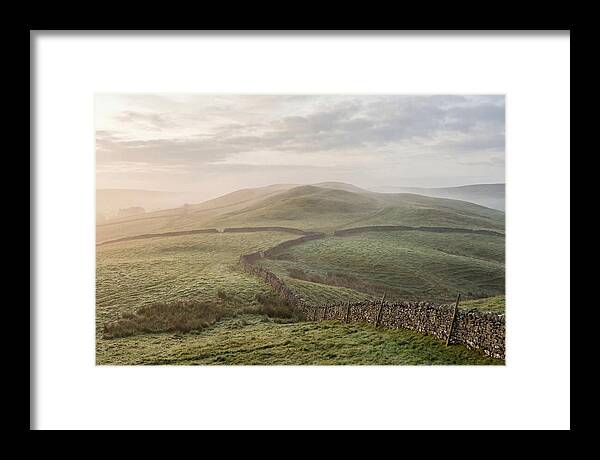 Rolling Green Hills At Dawn