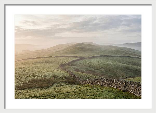 Rolling Green Hills At Dawn