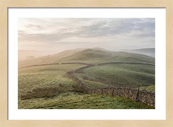 Rolling Green Hills At Dawn
