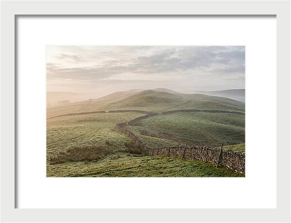 Rolling Green Hills At Dawn