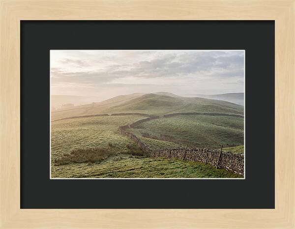 Rolling Green Hills At Dawn