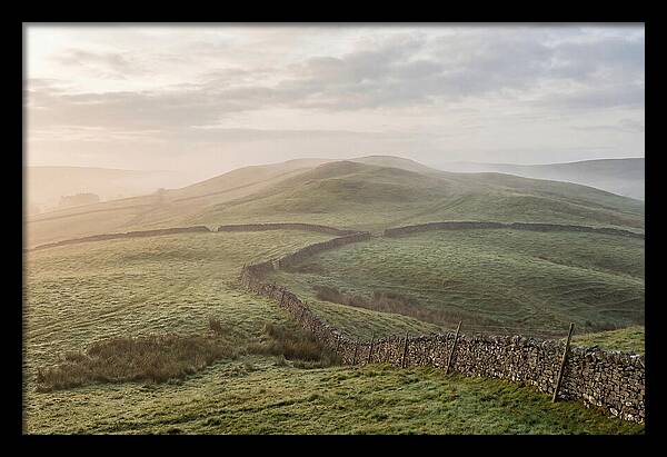 Rolling Green Hills At Dawn