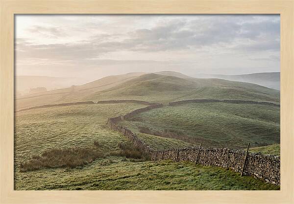 Rolling Green Hills At Dawn