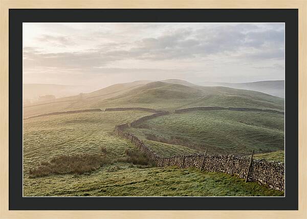 Rolling Green Hills At Dawn