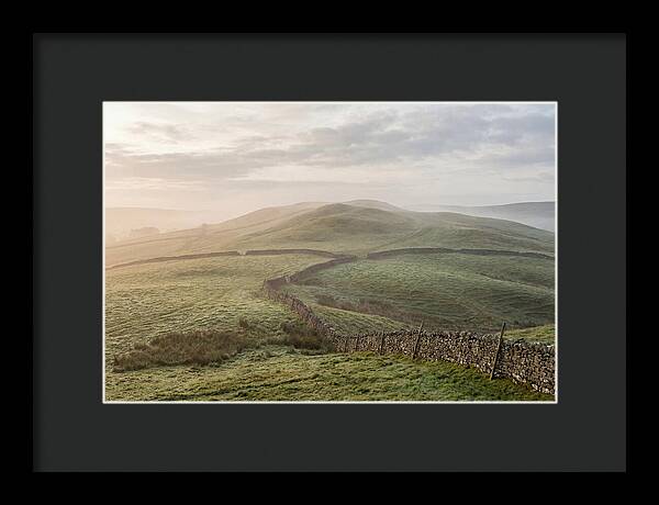 Rolling Green Hills At Dawn