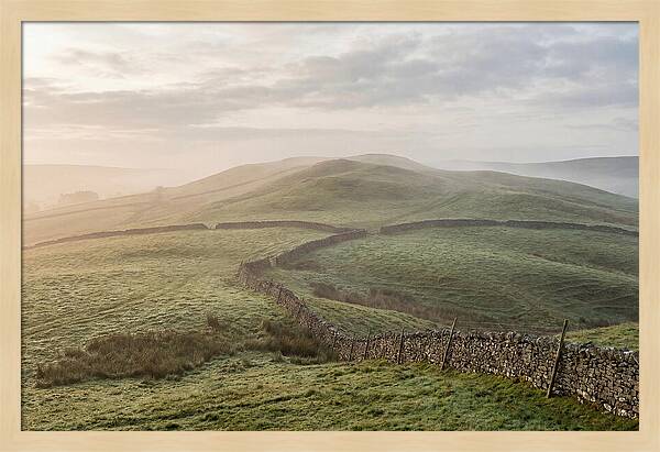Rolling Green Hills At Dawn