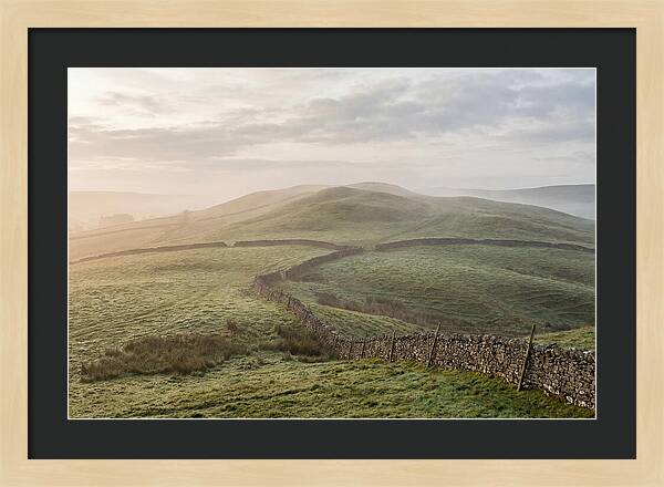 Rolling Green Hills At Dawn