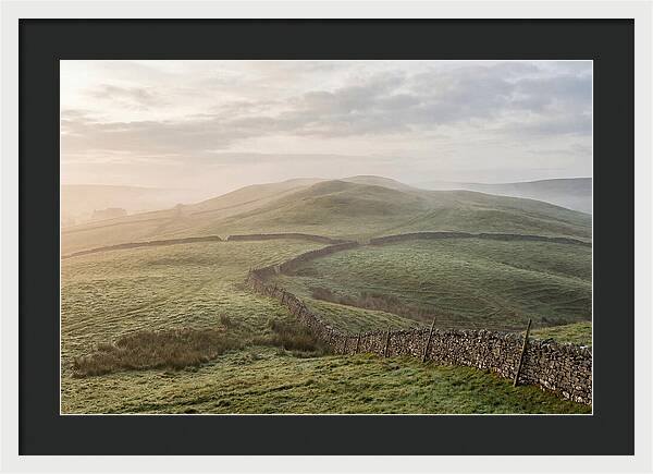 Rolling Green Hills At Dawn