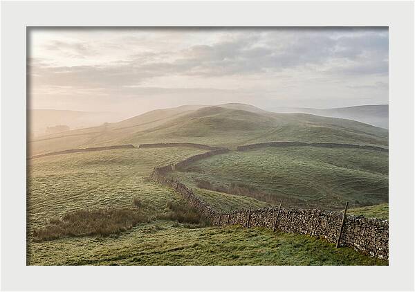 Rolling Green Hills At Dawn