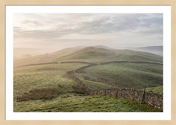 Rolling Green Hills At Dawn