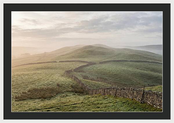 Rolling Green Hills At Dawn