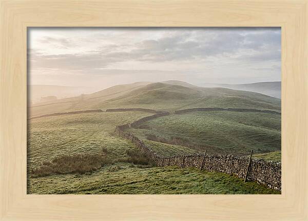 Rolling Green Hills At Dawn