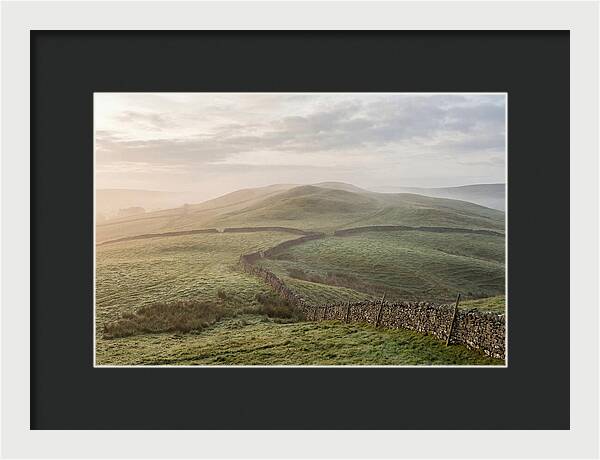 Rolling Green Hills At Dawn