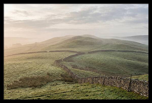 Rolling Green Hills At Dawn