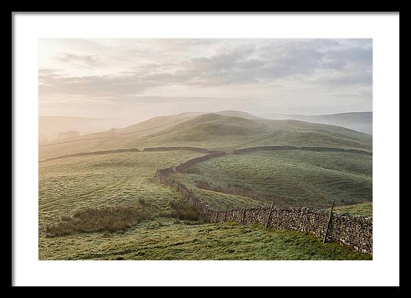 Rolling Green Hills At Dawn
