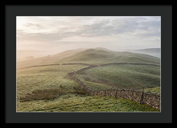 Rolling Green Hills At Dawn