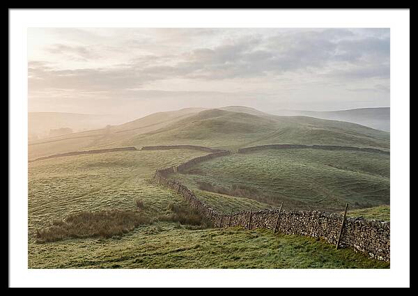 Rolling Green Hills At Dawn