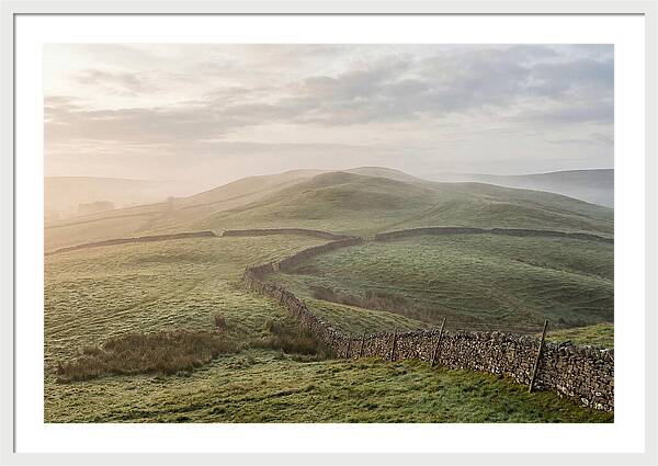Rolling Green Hills At Dawn
