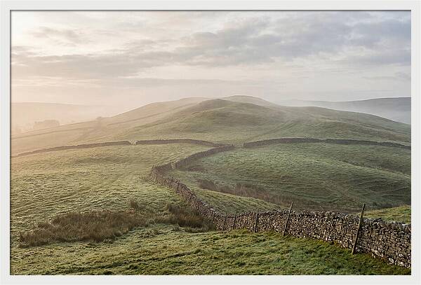 Rolling Green Hills At Dawn