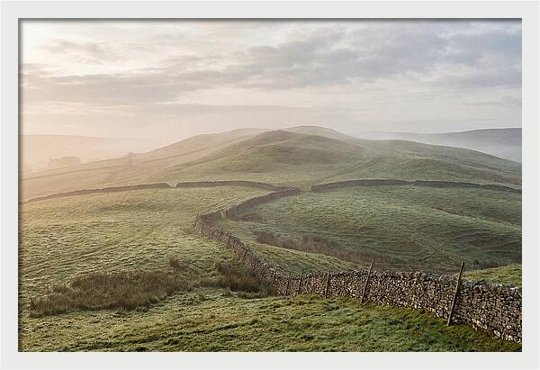 Rolling Green Hills At Dawn